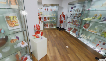 德仁科教产品展示馆