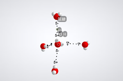 水分子
